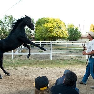 Fotoğraf Flicka: Country Pride