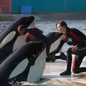 Fotoğraf Pas ve Kemik