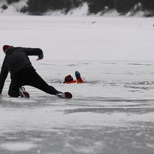 Fotoğraf Pas ve Kemik