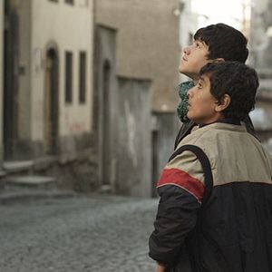 Fotoğraf Kırık Midyeler