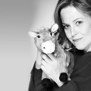 Fotoğraf Political Animals