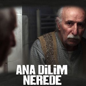 Fotoğraf Ana Dilim Nerede