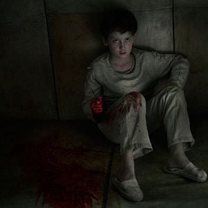 Fotoğraf Insensibles