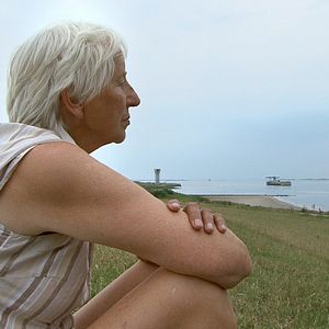 Fotoğraf Das Ding am Deich - Vom Widerstand gegen ein Atomkraftwerk