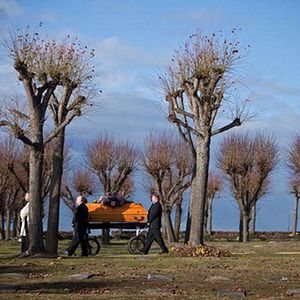 Fotoğraf Bittere Kirschen