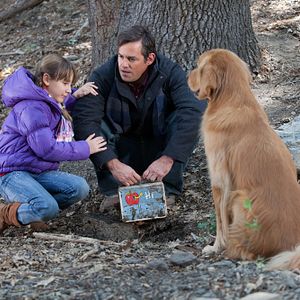 Fotoğraf A Golden Christmas