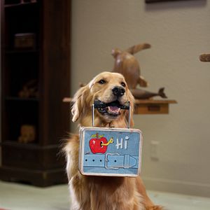 Fotoğraf A Golden Christmas