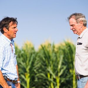 Fotoğraf Chelcie Ross