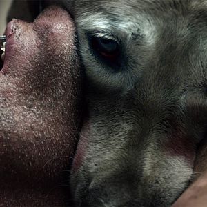 Fotoğraf Ölümün Alfabesi