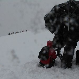 Fotoğraf Eve Dönüş: Sarıkamış 1915