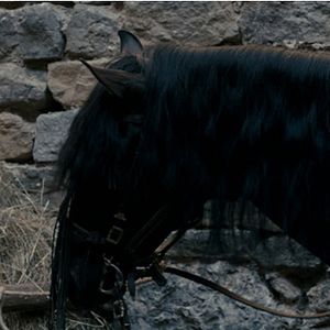 Fotoğraf Mads Mikkelsen