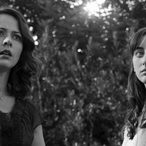 Fotoğraf Kuru Gürültü