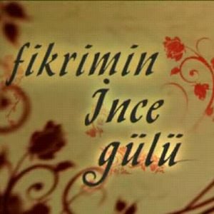 Fotoğraf Fikrimin İnce Gülü