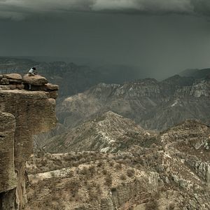 Fotoğraf Cartas a Elena