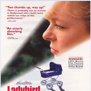 Fotoğraf Ladybird, Ladybird