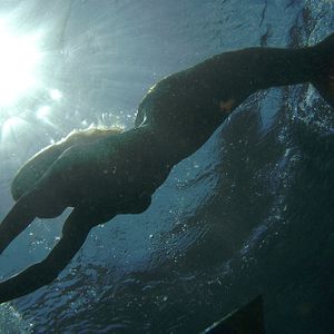 Fotoğraf Cariba Heine