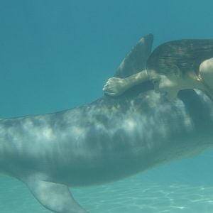 Fotoğraf H2O: Just Add Water