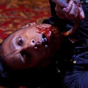 Fotoğraf Koleksiyoncu 2