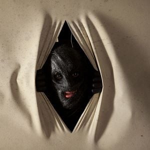 Fotoğraf Koleksiyoncu 2