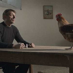 Fotoğraf Peter Van den Begin