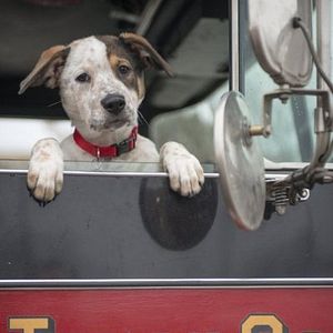 Fotoğraf Chicago Fire