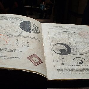 Fotoğraf Muhteşem Yaratıklar