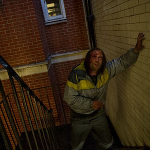 Fotoğraf Hummingbird