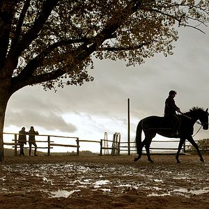 Fotoğraf Marina Hands