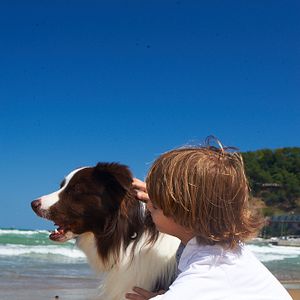 Fotoğraf Arkadaşım Max