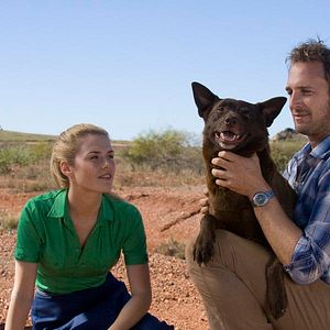 Fotoğraf Rachael Taylor