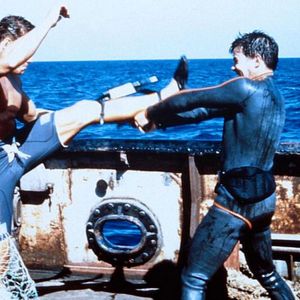 Fotoğraf Kara Kartal