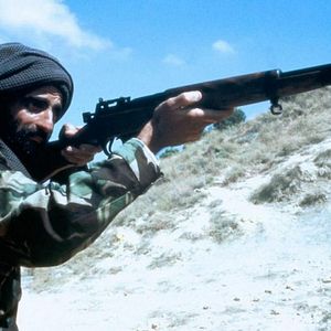 Fotoğraf Kara Kartal