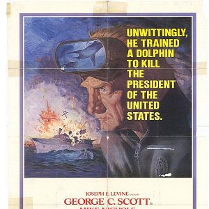 Fotoğraf Yunusların Günü