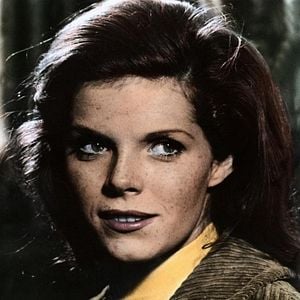 Fotoğraf The Collector