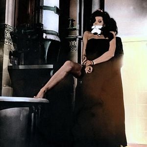 Fotoğraf The Collector