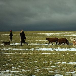 Fotoğraf Hiver nomade