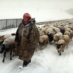 Fotoğraf Hiver nomade