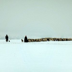 Fotoğraf Hiver nomade