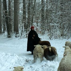 Fotoğraf Hiver nomade