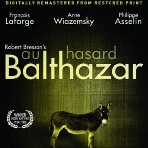 Fotoğraf Rastgele Balthazar