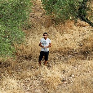 Fotoğraf Sleepless Knights