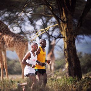 Fotoğraf Gold - Du kannst mehr als Du denkst