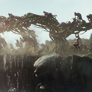 Fotoğraf Dev Avcısı Jack