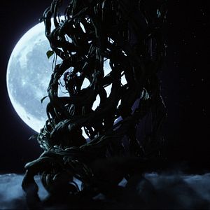 Fotoğraf Dev Avcısı Jack