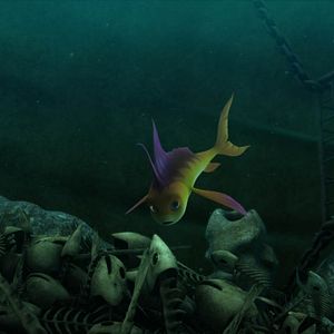 Fotoğraf Cesur Balık 2