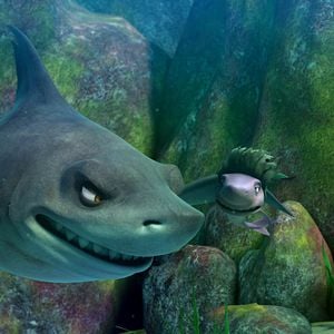 Fotoğraf Cesur Balık 2