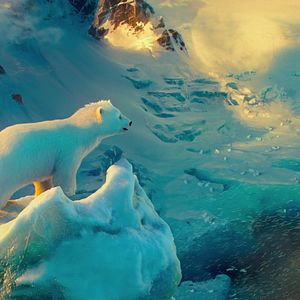 Fotoğraf John Stevenson