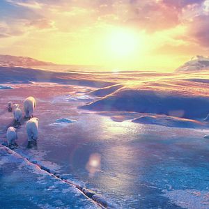 Fotoğraf John Stevenson