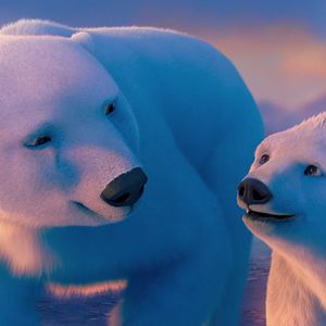 Fotoğraf John Stevenson