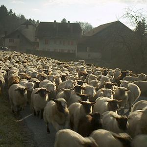 Fotoğraf Hiver nomade